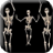 Belly Dancing Skeleton Live Wallpaper icon