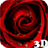 Blooming Rose 3D Wallpaper icon
