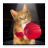 Boxing Cat version 1.0