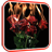 Burning Roses Live Wallpaper icon