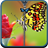 Butterfly Zipper icon