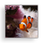 Clownfish Wallpapers icon