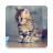 Cats Wallpapers icon