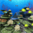 Coral Reef of Kerama Trial version 1.1.2