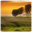 Country Road APK Download