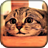 Cute Cat Scared Live Wallpaper icon