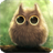 Descargar Cute Owl Live Wallpaper