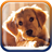 Cute Puppies Live Wallpaper icon