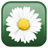 Daisy Flower 1.0.6