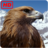 Eagle Wallpapers APK Download