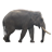 ElephantStickerMagnet icon