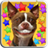 Dog Smiles Live Wallpaper version 1.0
