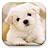Dog HD Wallpaper icon