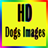 Dogs Images icon