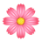 Flower Wallpapers icon