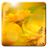 Descargar Flowers HD Wallpapers App