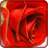 Flowers Live Wallpapers APK Download