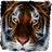 Fluffy tiger icon