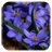 Forest flowers Video Wallpaper version 1.01