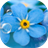 Forget-me-not Live Wallpaper HD icon