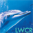 Free Dolphin live wallpaper icon