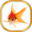 Gold Fish Live Wallpaper icon
