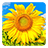 Golden Sunflower Live Wallpaper icon