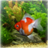 Goldfish Aquarium live wallpaper icon