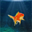 3D Gold Fish Swim Live Wallpaper icon