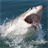 Great White Sharks - Wallpaper icon