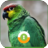 Green Parrot Wall & Lock icon