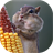 Funny rodents live wallpaper icon