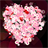 Heart Blossom (Free Version) icon