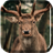 Herd of Deer Live Wallpaper icon