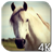 Horse 4K Video Live Wallpaper icon