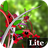 Jungle of Flowers 3D Lite APK Download