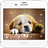 Labrador Dogs live wallpaper version 1.2