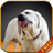 Labrador Licks Screen icon
