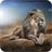 Lion Wallpaper icon