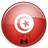 Live TV From Tunisia icon