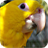 Macaw Wallpapers icon