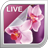 Orchid Live Wallpaper version 2.0