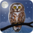 Owl Landscape icon