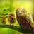 Owls Trial icon