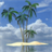 Palm In Tropical Island Live Wallpaper icon