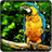 Parrot Live Wallpaper icon