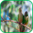 Parrot Wallpaper icon