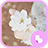 Cherry blossoms homepack icon