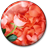 Petals Live Wallpaper icon