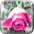 Pink Rose Live Wallpaper HD icon